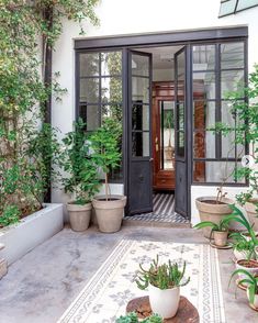 an entry way with plants and potted trees