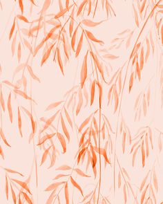 an orange and white background with leaves on it