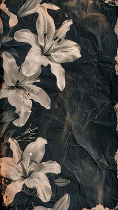 some white flowers are on a black and brown paper with grungy paint effect