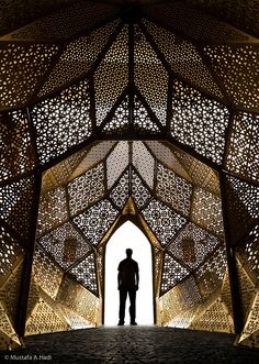 a man is standing in the middle of an intricately designed structure with his hands on his hips