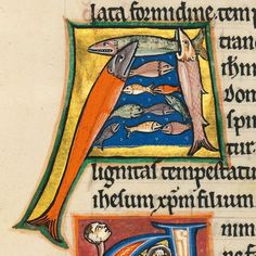 an illuminated manuscript with fish on it