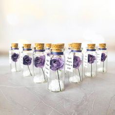 six glass jars with purple flowers in them