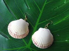 Beautiful jewelry from cockle seashells found on South Carolina beaches. They shine in a lovely pink and white color that brings out their natural shape. Wear them every day or for special occasions--they're sure to bring you joy! Happy Shopping! NOTE: Each earring may vary slightly in color. White Shell Jewelry With Ocean-inspired Style, White Shell-shaped Shell Jewelry, White Shell-shaped Ocean-inspired Jewelry, Ocean-inspired White Shell-shaped Jewelry, White Shell-shaped Earrings For Vacation, White Shell-shaped Beachy Jewelry, Handmade White Beachy Earrings, Ocean-inspired White Earrings For Beach, Beachy White Shell Earrings