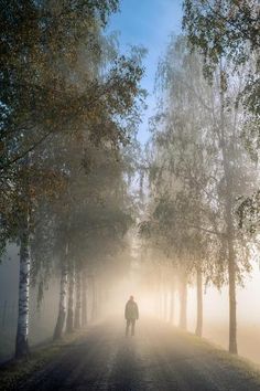 a person walking down a dirt road in the middle of trees on a foggy day