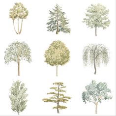 trees are shown in different colors and sizes