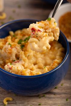 a blue bowl filled with macaroni and cheese