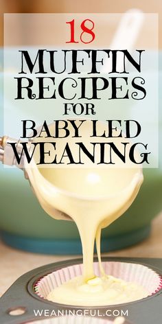 If you're doing baby led weaning with your little one then these 18 muffin recipes are healthy and make great first foods and finger foods, even for babies with no teeth. #blw #babyledweaning #startingsolids Recipes For Baby Led Weaning, Baby Led Weaning Muffins, Blw Ideas, Recipes For Baby, Ice Ideas, Baby Led Weaning First Foods, Baby Led Feeding, No Teeth