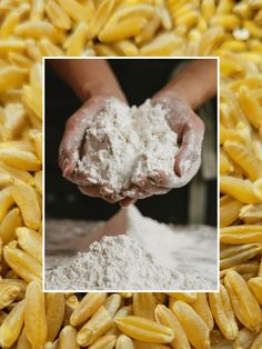 a person is holding some food in their hands and it looks like corn kernels