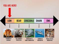 an animal chart with different types of animals and the words you are here on it