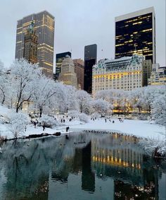 the city skyline is covered in snow as people walk along the river and on the sidewalk