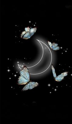 three blue butterflies flying in the night sky