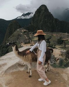 a woman standing on top of a mountain next to an llama