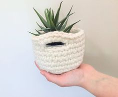 a hand holding a crocheted pot with a plant in it