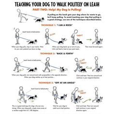 a poster explaining how to teach your dog to walk on leashes, with instructions