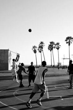 a group of people playing basketball on a court with palm trees in the back ground