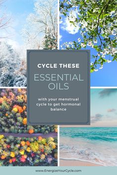 Period Essential Oils, Essential Oils For Cycle Syncing, Essential Oils For Menstrual Cycle, Follicular Phase Essential Oils, Herbs For Luteal Phase, Inner Seasons, Increase Estrogen, Ovulation Phase, Womb Wisdom