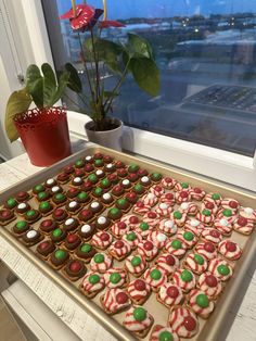 there is a tray of cookies on the window sill next to a potted plant