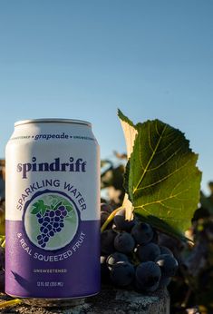 a can of spindrif sparkling water next to some grapes and leafy vines