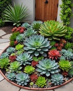 an assortment of succulents in a circular planter