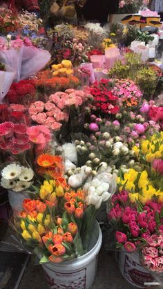 several buckets filled with different colored flowers