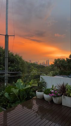 the sun is setting over some plants and trees on a deck in front of a cityscape