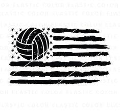 an american flag with a volleyball ball on it