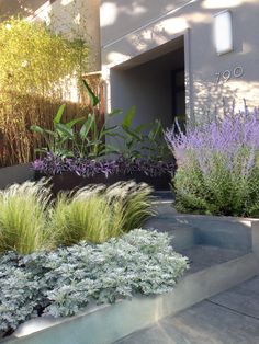 some very pretty flowers and plants in front of a building