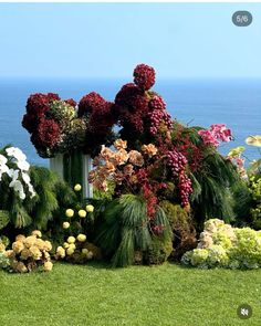 Chuppah Flowers, Altar Flowers, Arch Flowers, Ceremony Inspiration, Wedding Ceremony, Flowers