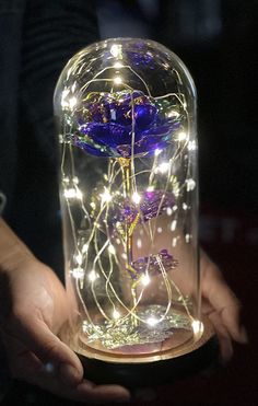 a person holding a glass jar with flowers in it and fairy lights on the inside