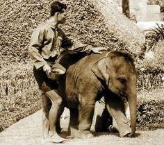 a man riding on the back of an elephant