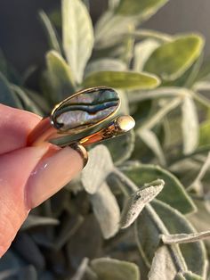 Abalone She'll Ring Shell Ring, Abalone Shell, Jewelry Inspo, Statement Rings, Shells, Jewelry Making, Etsy Uk