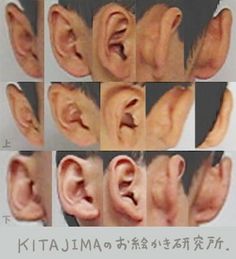 頭部 | KITAJIMAのお絵かき研究所 Ear Anatomy, How To Draw Ears, Head Anatomy, Face Anatomy, Desen Realist, 얼굴 드로잉, 얼굴 그리기, Human Figure Drawing