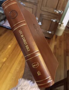 a brown book sitting on top of a white stuffed animal next to a kitchen counter