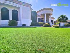 an empty lawn in front of a large house