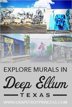 the words explore murals in deep elum texas with images of horses and people on them