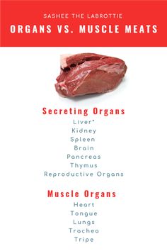 an image of organ vs muscle meats chart with the names in red and white