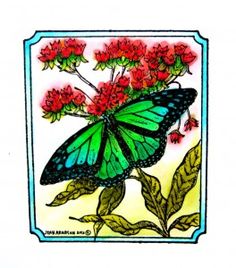 a green butterfly sitting on top of red flowers in a blue and white square frame