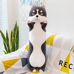 a black and white cat statue sitting on top of a couch next to a potted plant