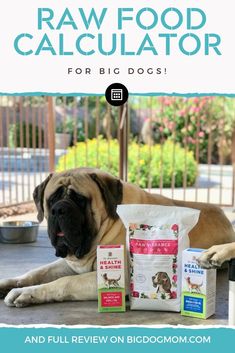 a dog laying on the ground next to its food bag and two bags of raw food