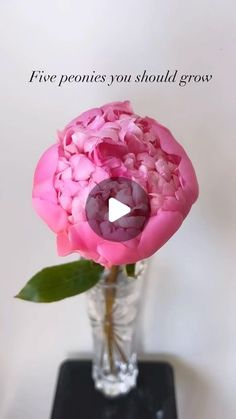 a vase filled with pink flowers on top of a table