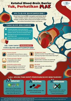 poster ini dibuat di Adobe Illustrator bersama teman saya Bela Talita Canva Infographic Ideas Aesthetic, Medical Infographic, Poster Medical, Timeline Infographic Design, Medical Poster, Sistem Saraf, Scientific Poster, Infographic Inspiration, Research Poster