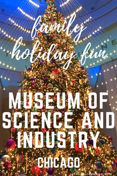 the museum of science and industry christmas tree in chicago