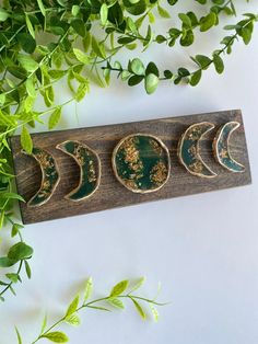 three crescents are sitting on a wooden plaque surrounded by green leaves and greenery