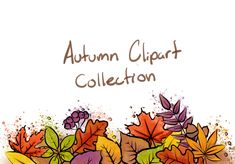 an autumn clipart collection with leaves and berries