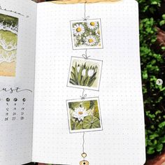 an open notebook with pictures and words on the pages, in front of some plants