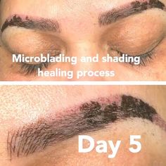 Microblading Healing Process By Days, Brow Microblading Before After, Micro Blading Healing Process, Stages Of Microblading Healing, Combo Brows Healing Process, Ombre Microblading Eyebrows, Microblading Eyebrows Healing Process, Powder Brows Healing Process, Microblading Healing Stages