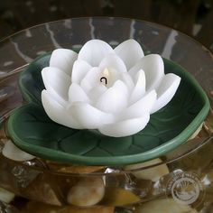 a white flower sitting on top of a green bowl