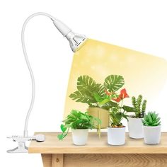 a table with some plants on it and a white light over the top that is turned on