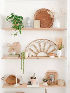 some shelves with plants and pictures on them