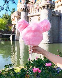 a person holding up a pink cotton candy in front of a castle with water and flowers